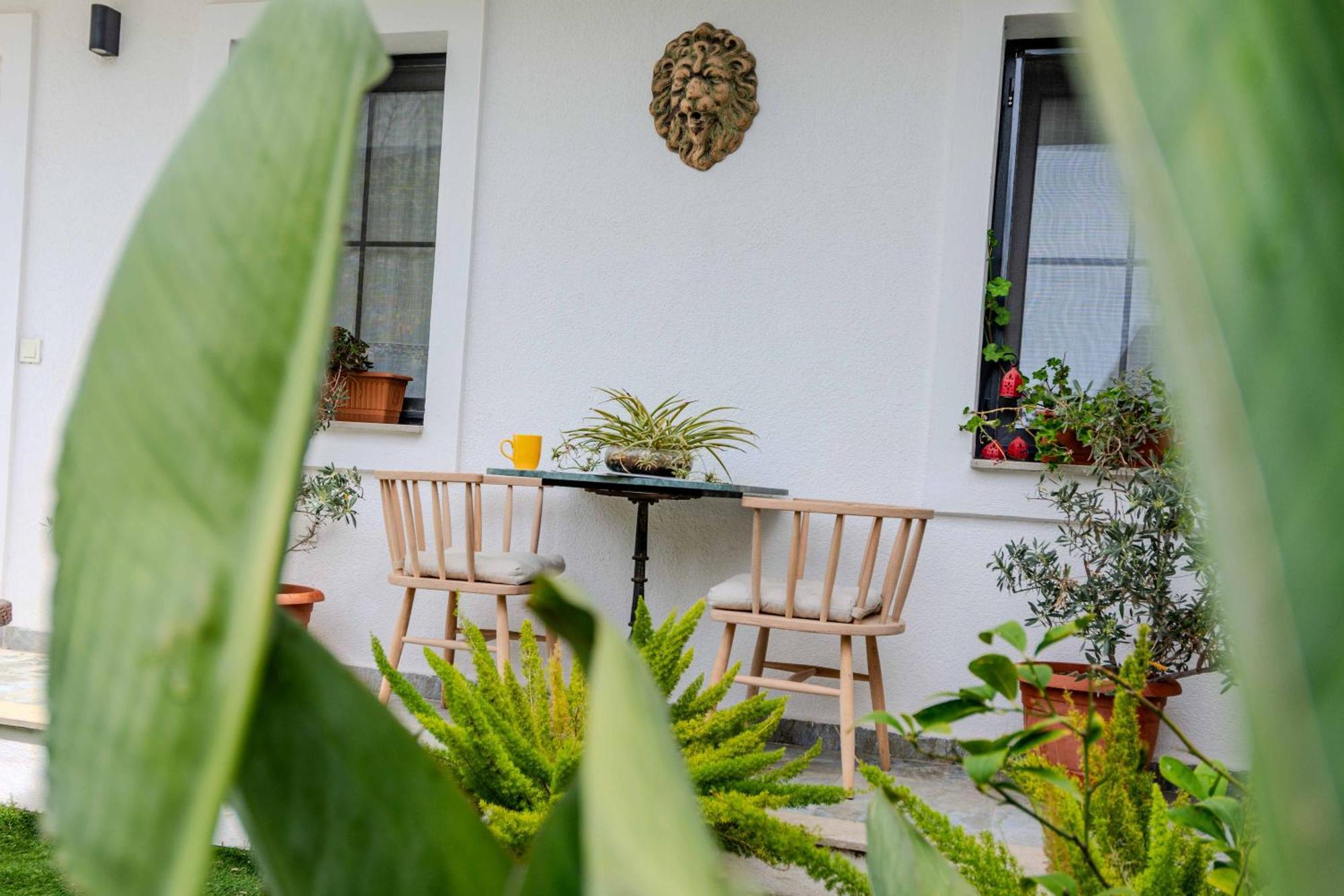 Arden'S House Bed & Breakfast Bodrum ภายนอก รูปภาพ